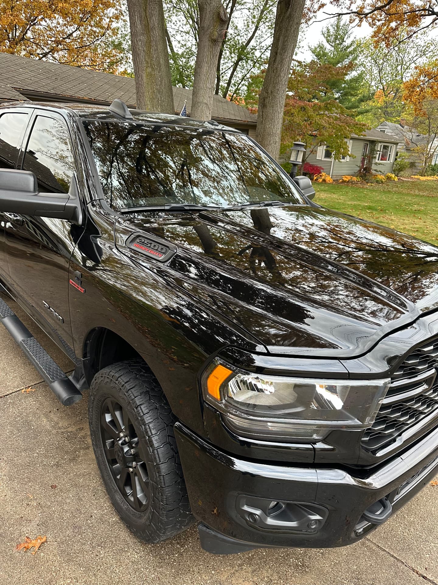 Hood and front end gloss after polish
